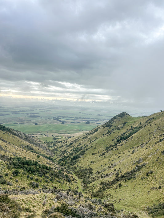 5km Amuri Ranges Run